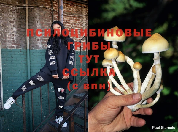 герыч Балахна