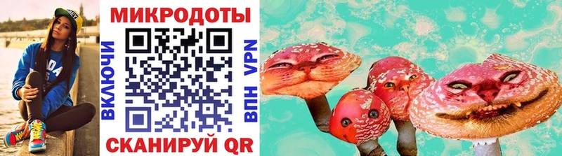 Галлюциногенные грибы GOLDEN TEACHER  сколько стоит  Кыштым 